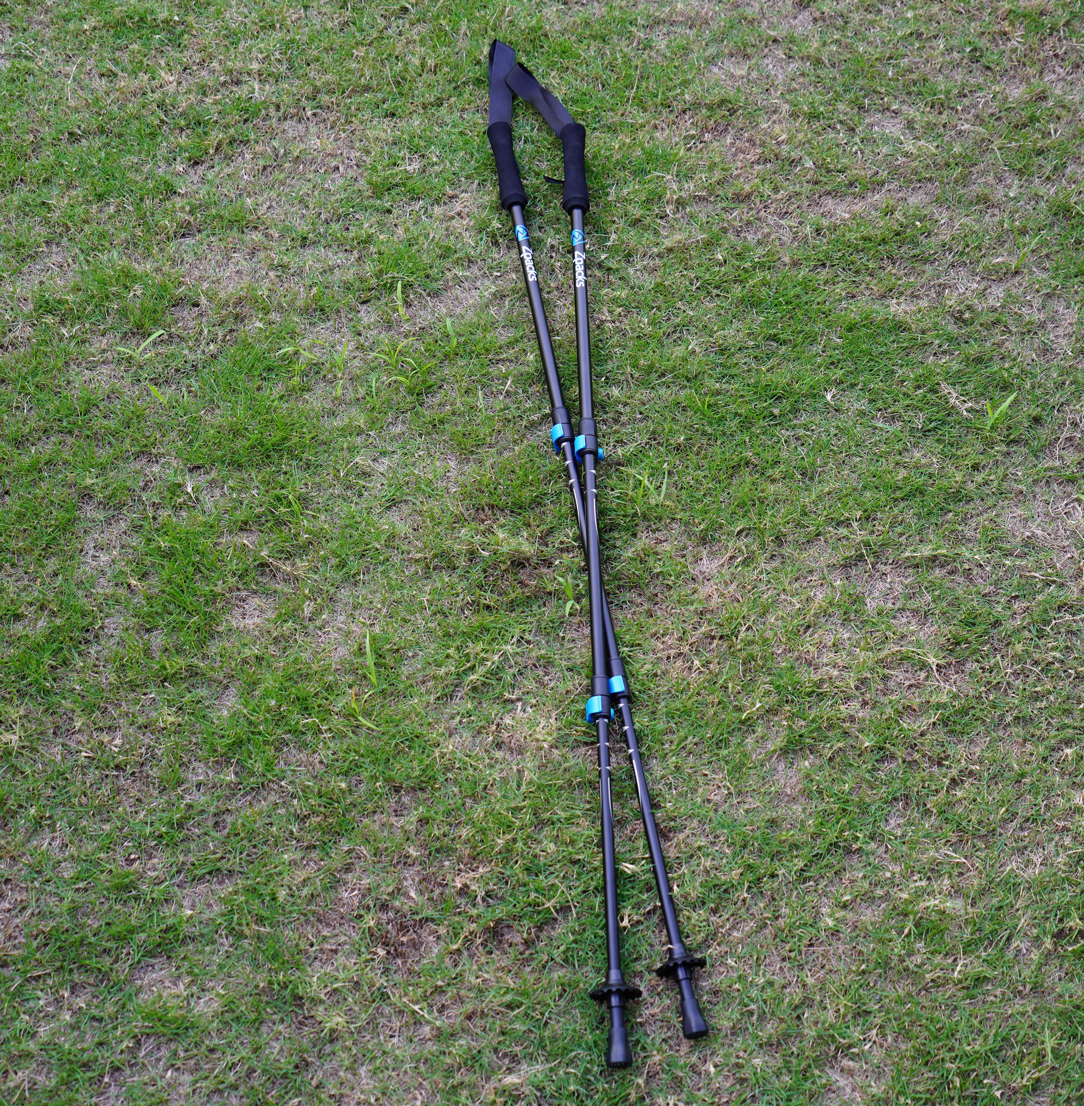 Zpacks / Minimalist Trekking Pole – Big Luck Gear